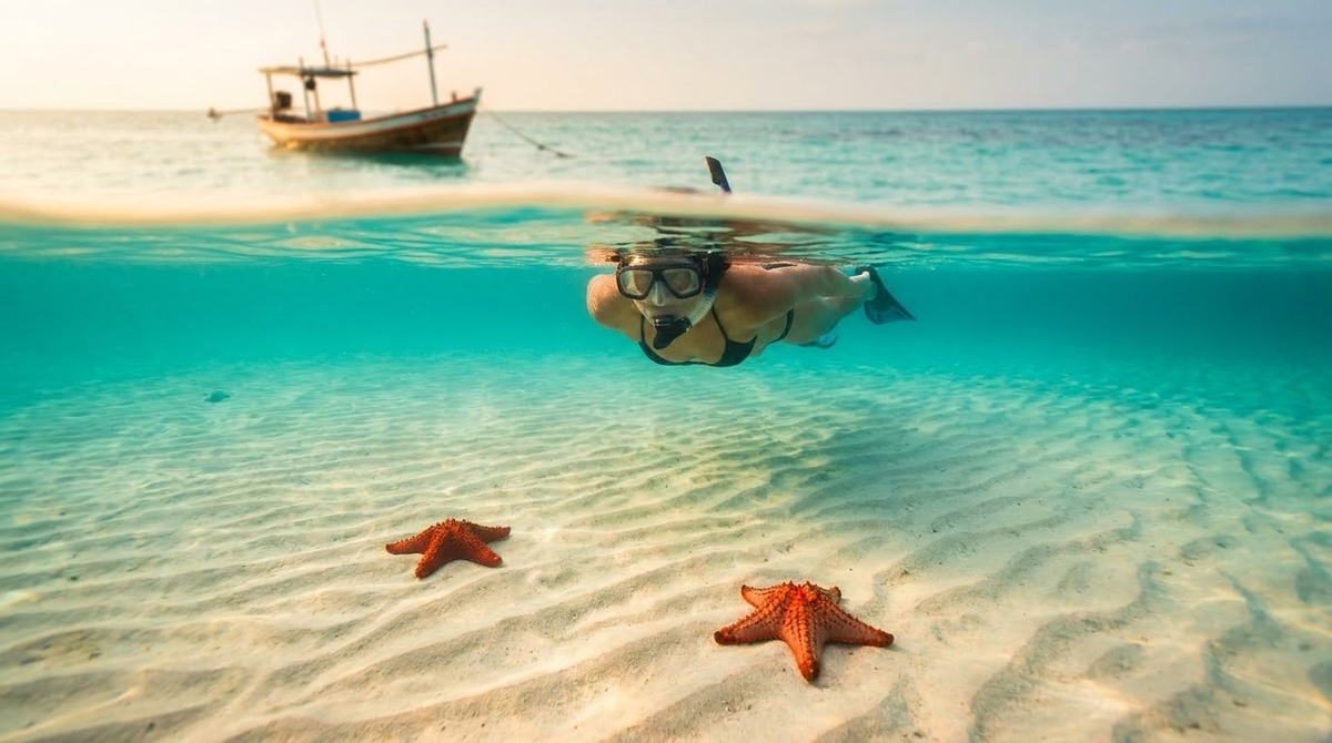 A swimmer with a snorkel floating face-down over the starfish sandbar